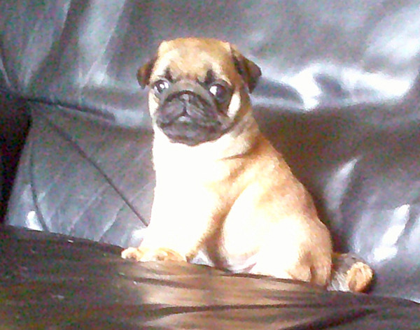 Amusant Secret Nostalgie de France